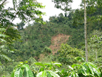 topic4 - 2_small.png