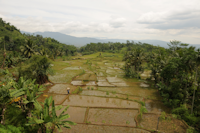 topic4 - 3_small.png