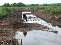 topic4 - 6_small.png