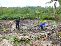 topic4 - 7_small.png