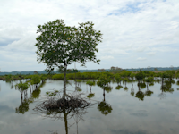 topic4 - 8_small.png